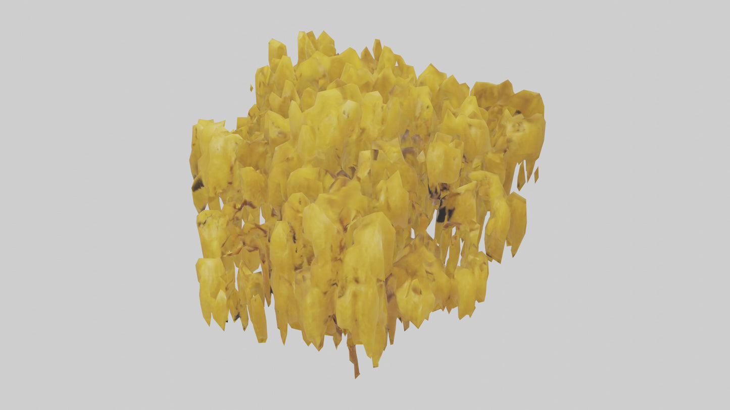 3D model Golden Rain tree model VR / AR / low-poly