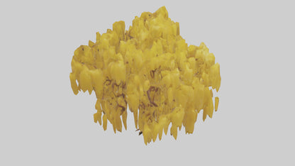 3D model Golden Rain tree model VR / AR / low-poly