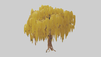 3D model Golden Rain tree model VR / AR / low-poly