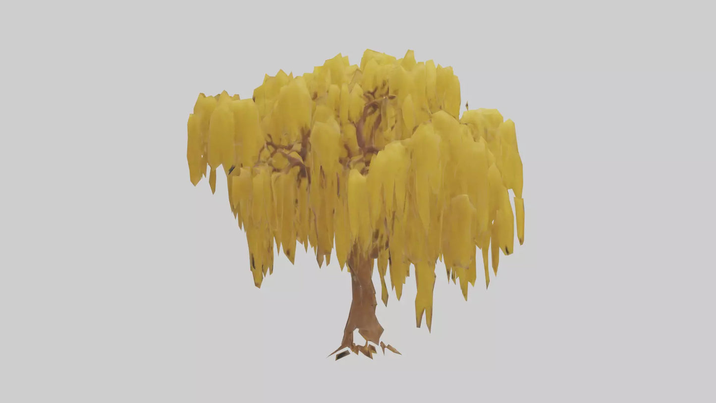 3D model Golden Rain tree model VR / AR / low-poly