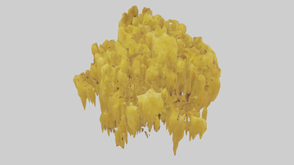 3D model Golden Rain tree model VR / AR / low-poly