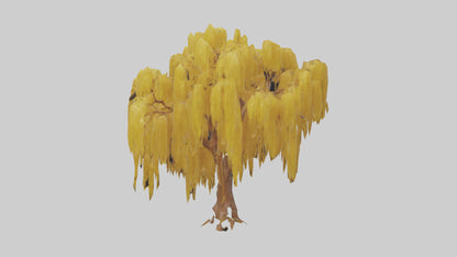 3D model Golden Rain tree model VR / AR / low-poly