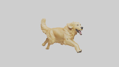 3D model Golden Retriever running model VR / AR / low-poly