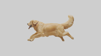 3D model Golden Retriever running model VR / AR / low-poly