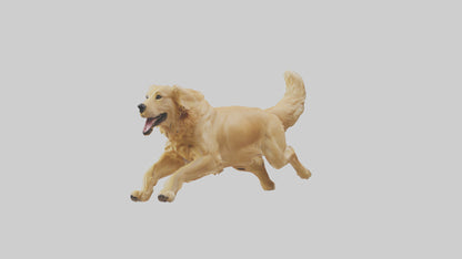 3D model Golden Retriever running model VR / AR / low-poly