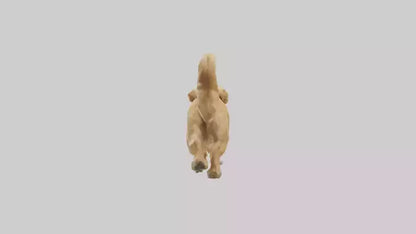3D model Golden Retriever running model VR / AR / low-poly