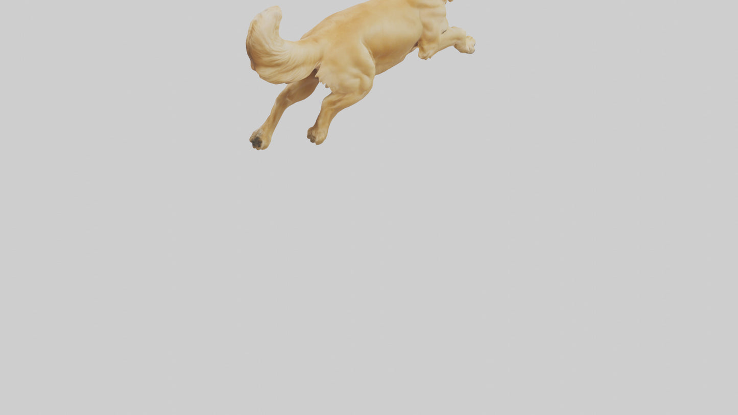3D model Golden Retriever running model VR / AR / low-poly