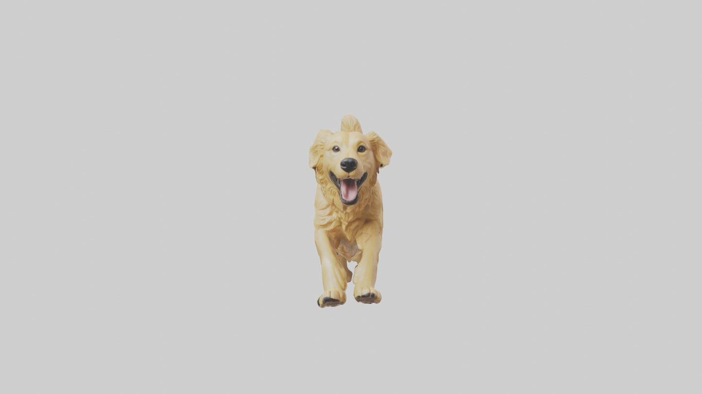 3D model Golden Retriever running model VR / AR / low-poly