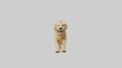 3D model Golden Retriever running model VR / AR / low-poly
