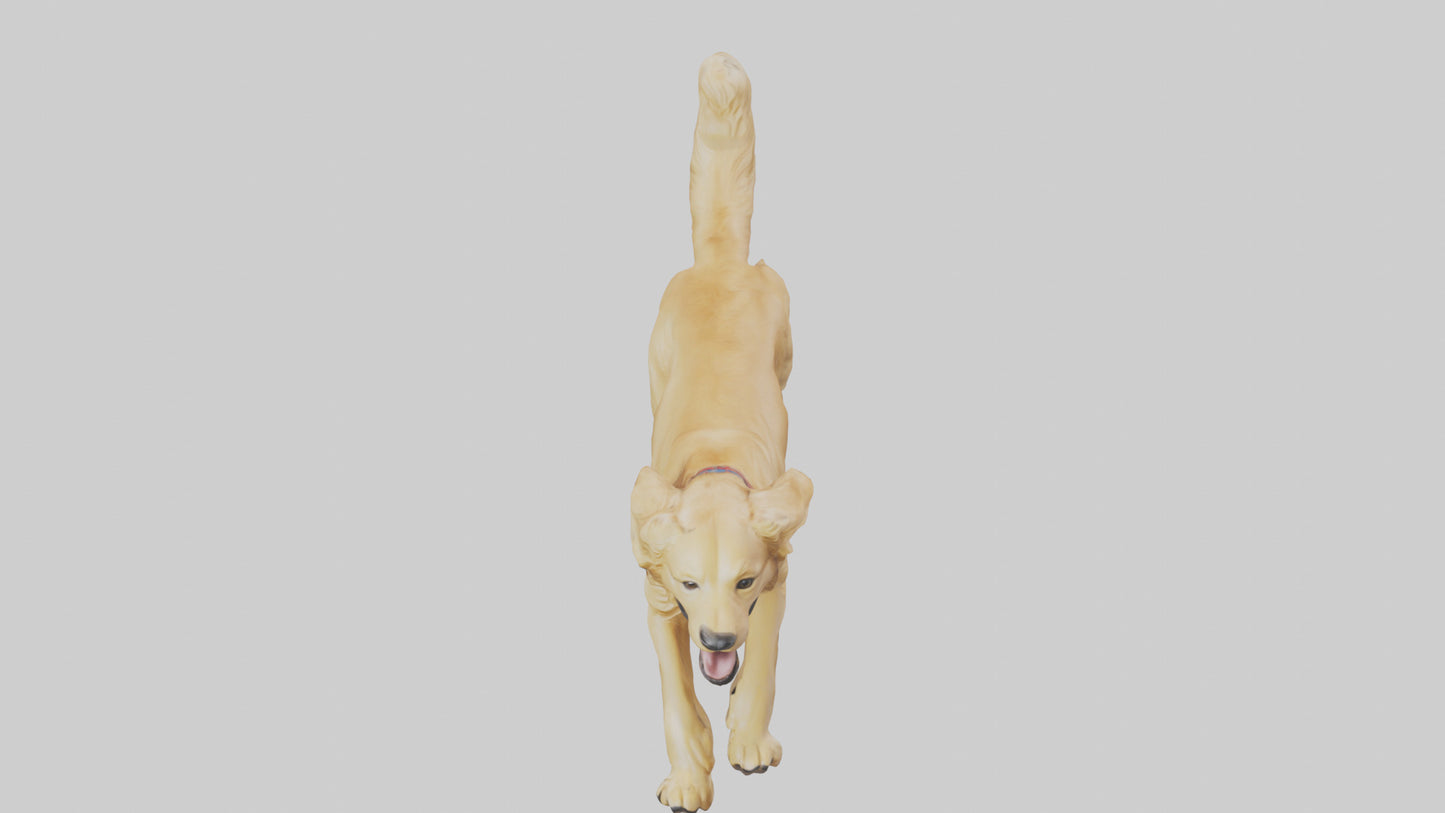 3D model Golden Retriever running model VR / AR / low-poly