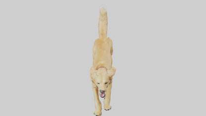 3D model Golden Retriever running model VR / AR / low-poly