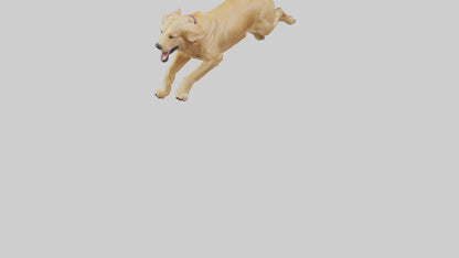 3D model Golden Retriever running model VR / AR / low-poly