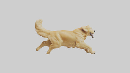 3D model Golden Retriever running model VR / AR / low-poly