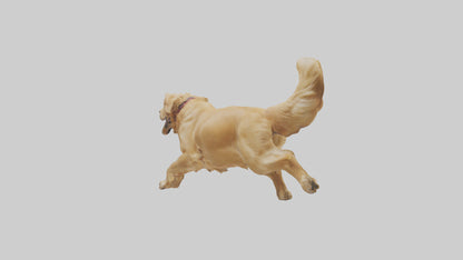 3D model Golden Retriever running model VR / AR / low-poly