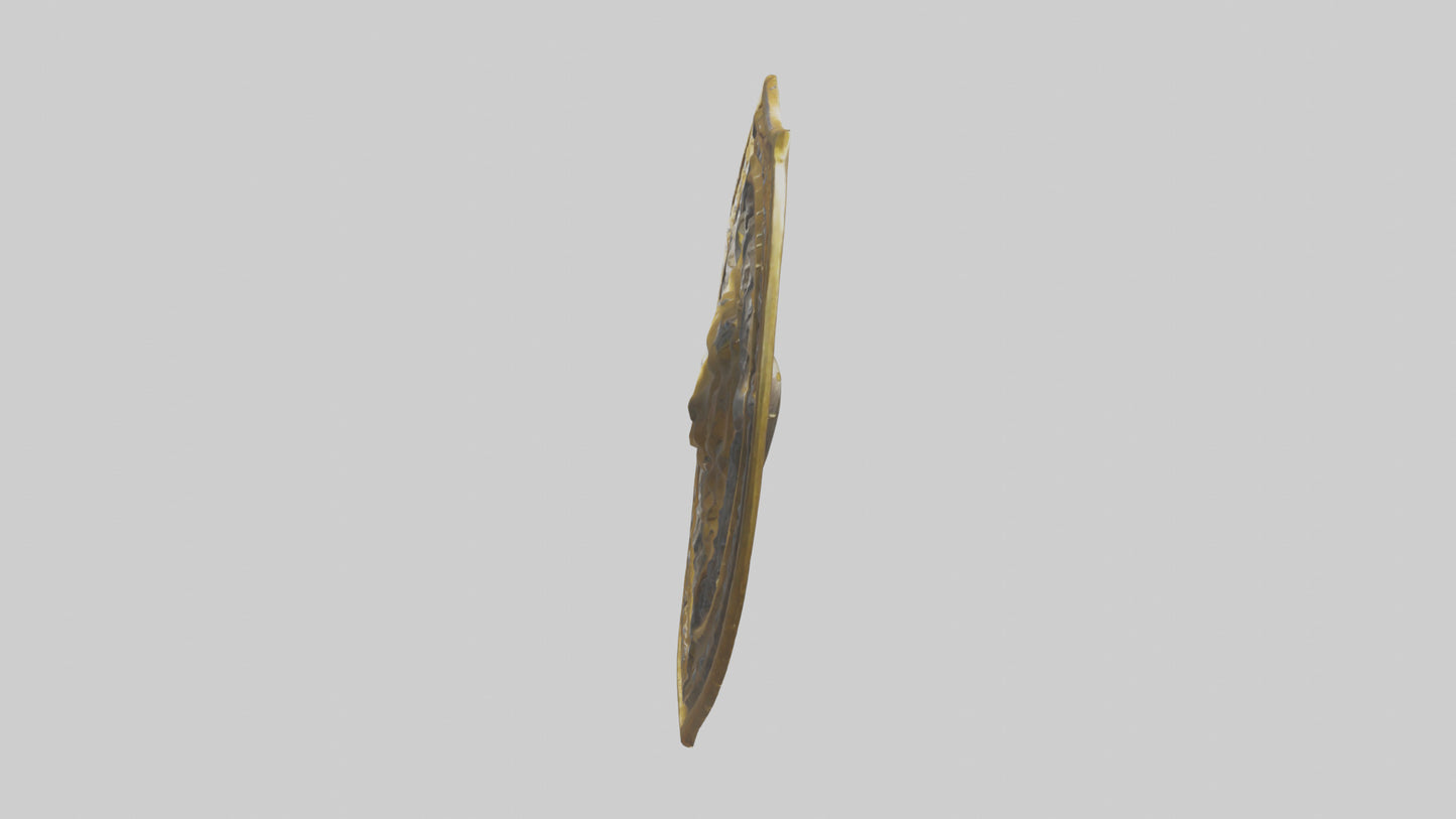 3D model Golden Shield model VR / AR / low-poly