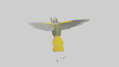 3D model Goldenwinged Warbler singing model VR / AR / low-poly