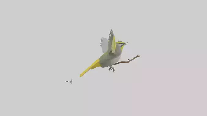 3D model Goldenwinged Warbler singing model VR / AR / low-poly