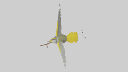 3D model Goldenwinged Warbler singing model VR / AR / low-poly