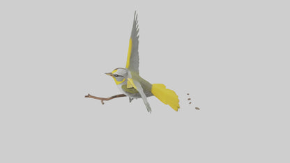 3D model Goldenwinged Warbler singing model VR / AR / low-poly