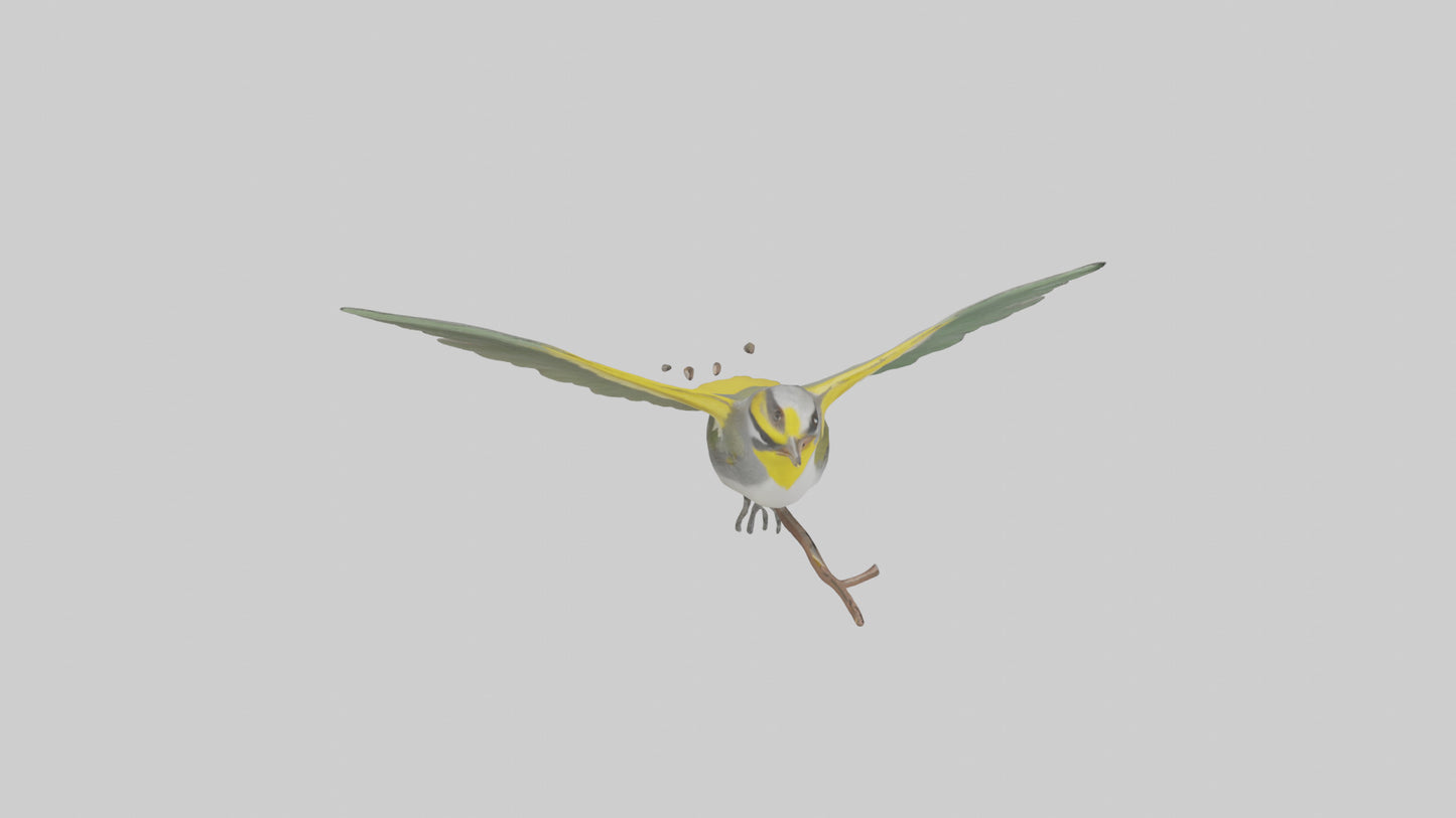 3D model Goldenwinged Warbler singing model VR / AR / low-poly