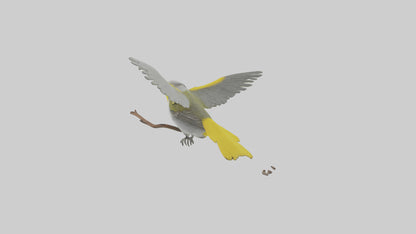 3D model Goldenwinged Warbler singing model VR / AR / low-poly
