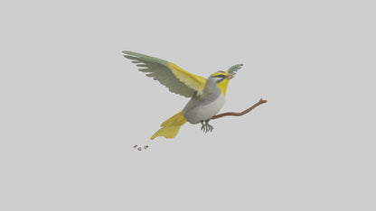 3D model Goldenwinged Warbler singing model VR / AR / low-poly