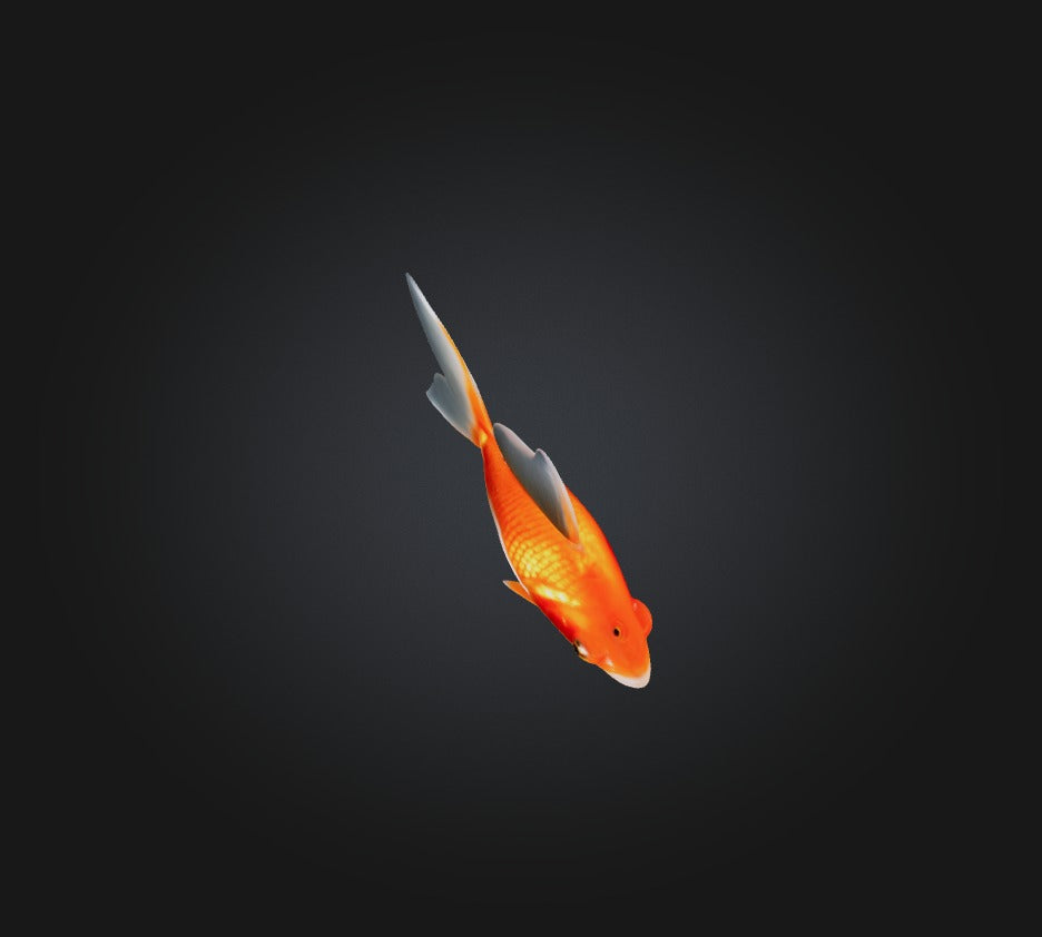 3D model Goldfish VR / AR / low-poly