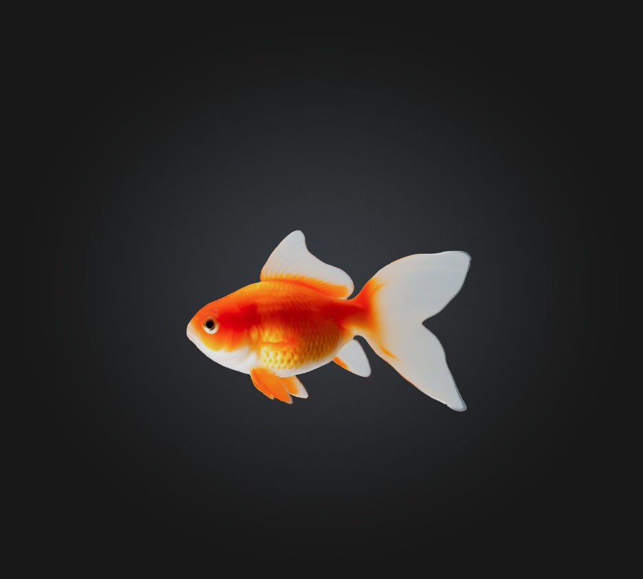 3D model Goldfish VR / AR / low-poly