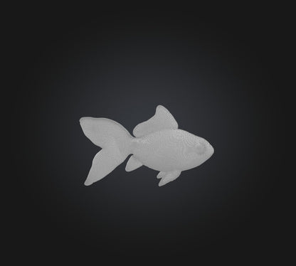 3D model Goldfish VR / AR / low-poly