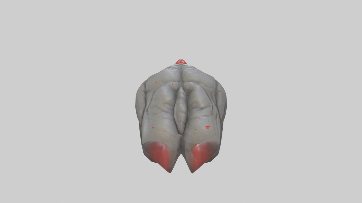 3D model Golems Heart model VR / AR / low-poly