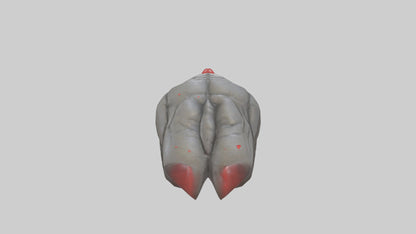 3D model Golems Heart model VR / AR / low-poly