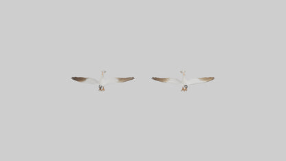 3D model Goose flying in formation model VR / AR / low-poly