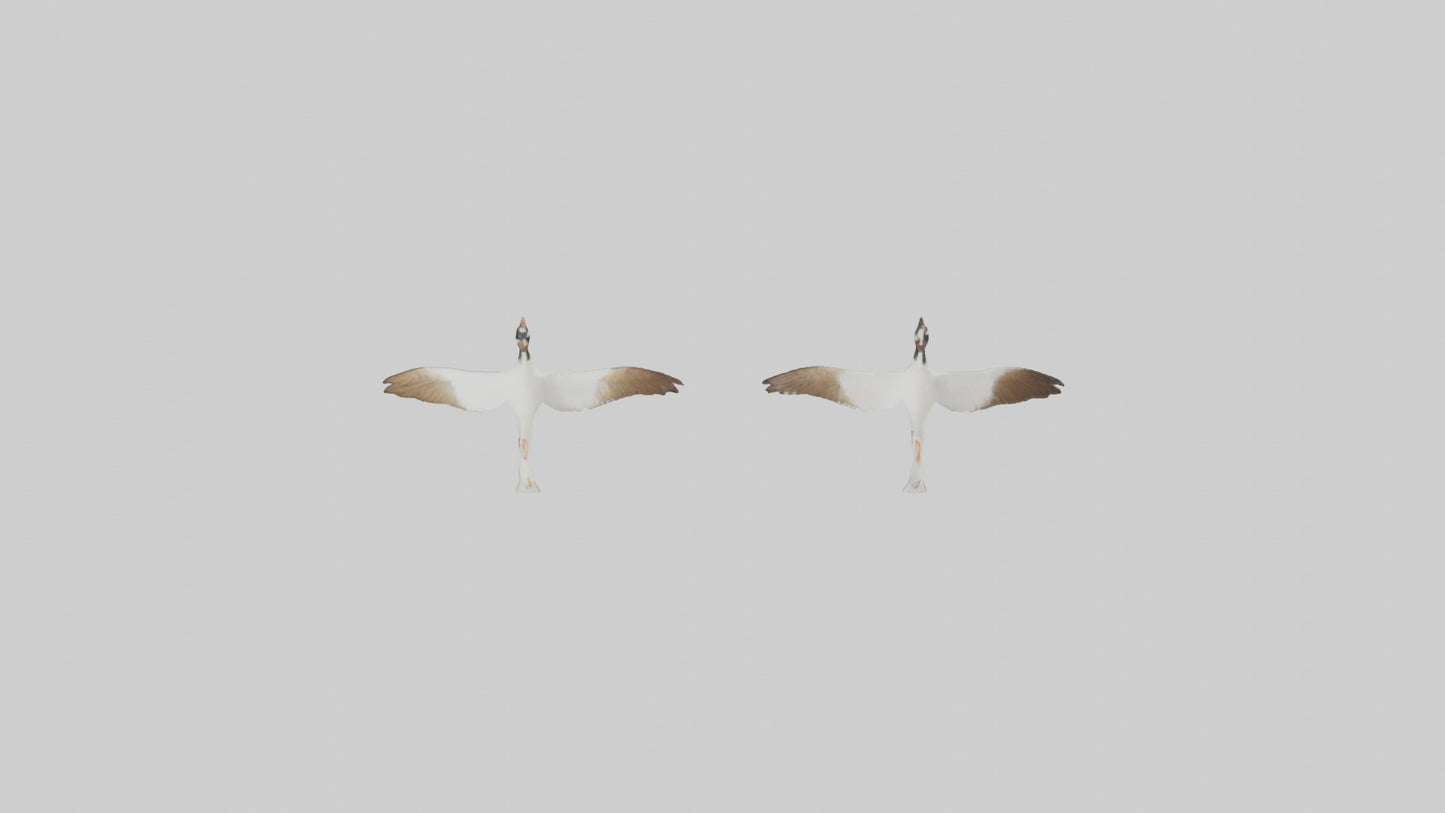 3D model Goose flying in formation model VR / AR / low-poly