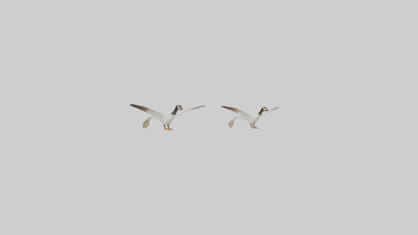 3D model Goose flying in formation model VR / AR / low-poly