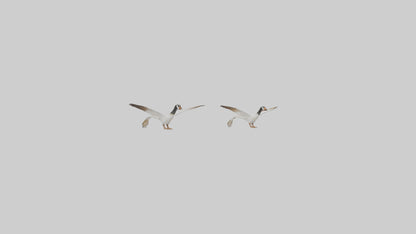 3D model Goose flying in formation model VR / AR / low-poly