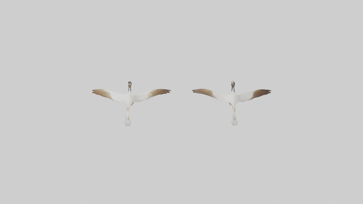 3D model Goose flying in formation model VR / AR / low-poly