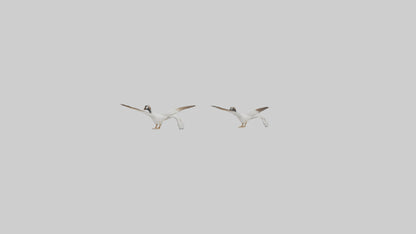 3D model Goose flying in formation model VR / AR / low-poly