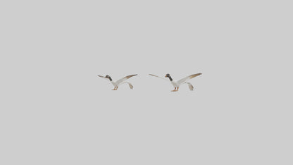 3D model Goose flying in formation model VR / AR / low-poly