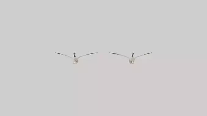 3D model Goose flying in formation model VR / AR / low-poly