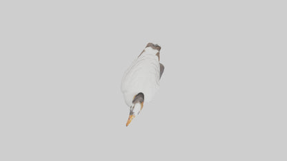Goose statue model VR / AR / low-poly