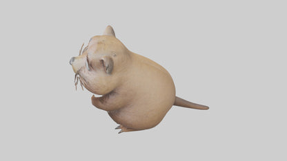 3D model Gopher standing upright model VR / AR / low-poly