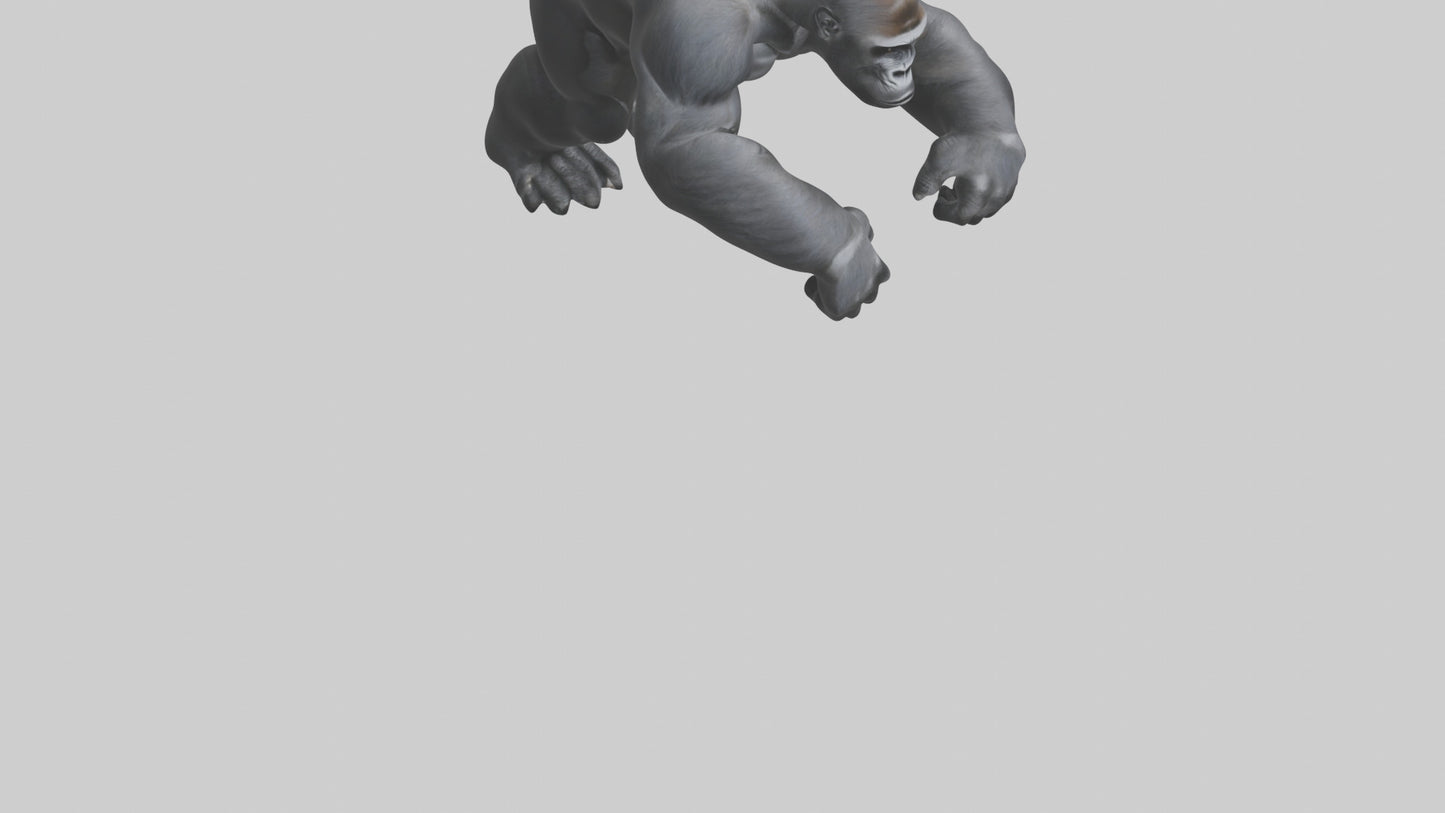 3D model Gorilla Arms VR / AR / low-poly