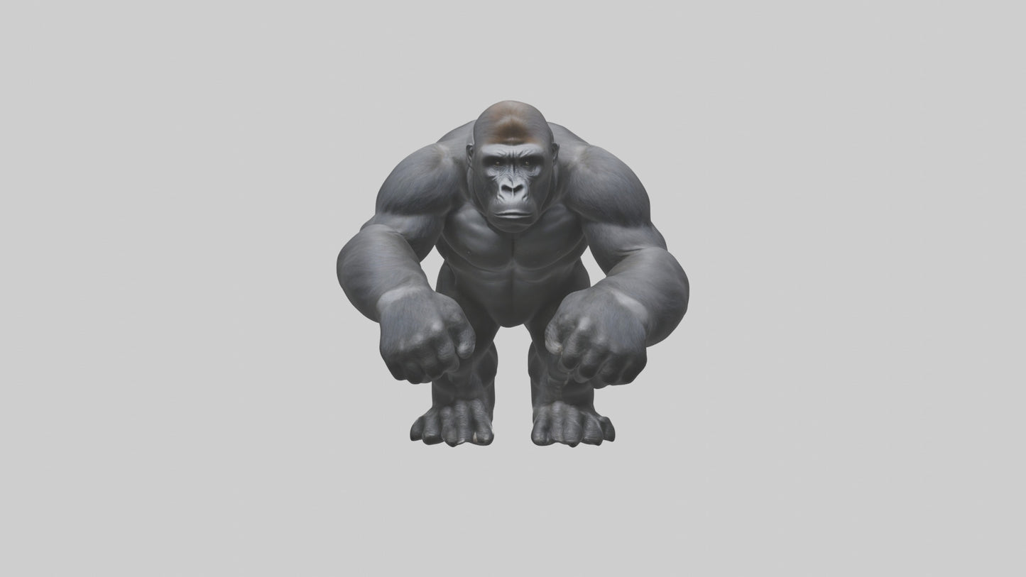 3D model Gorilla Arms VR / AR / low-poly