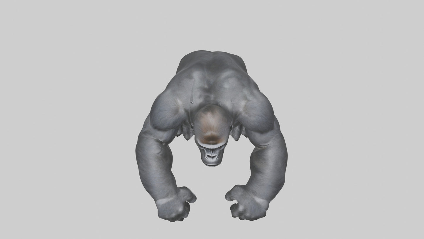 3D model Gorilla Arms VR / AR / low-poly