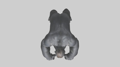 3D model Gorilla Arms VR / AR / low-poly