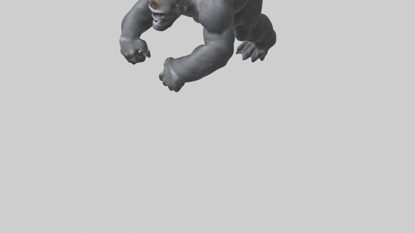 3D model Gorilla Arms VR / AR / low-poly