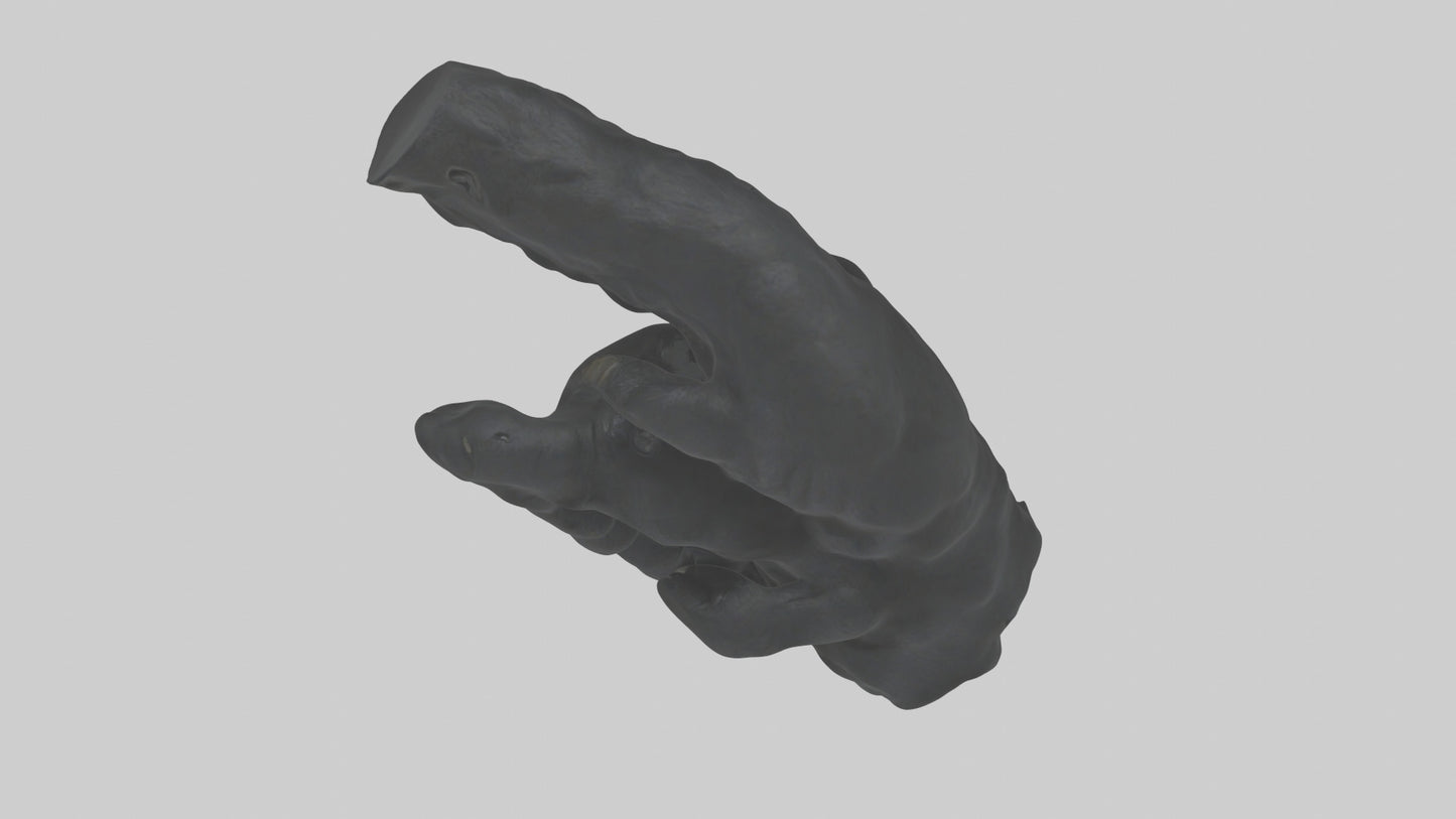 3D model Gorilla Arms Model VR / AR / low-poly