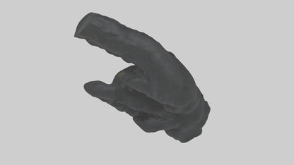 3D model Gorilla Arms Model VR / AR / low-poly