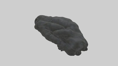 3D model Gorilla Arms Model VR / AR / low-poly