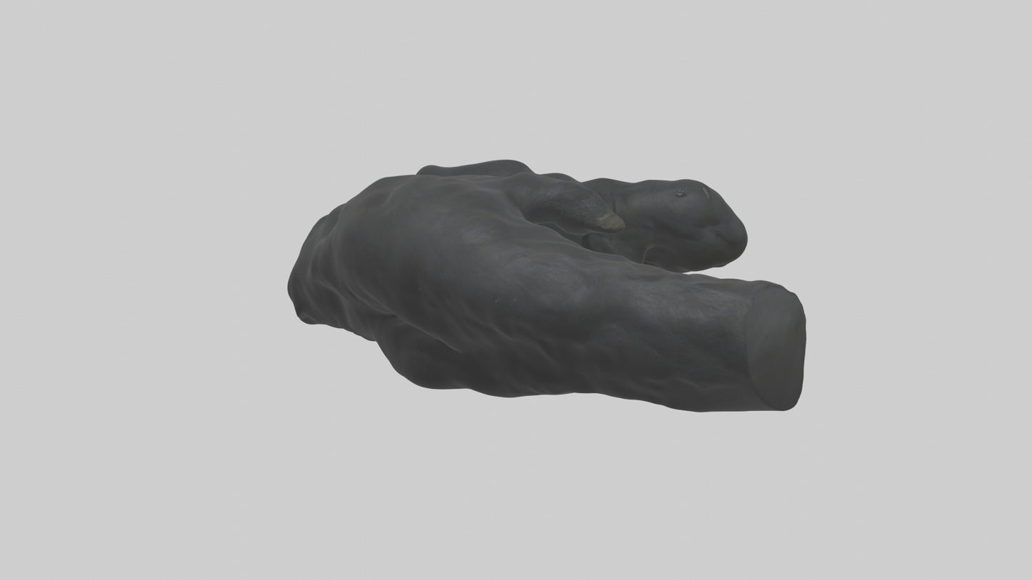 3D model Gorilla Arms Model VR / AR / low-poly